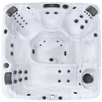 Avalon-X EC-840LX hot tubs for sale in Arcadia