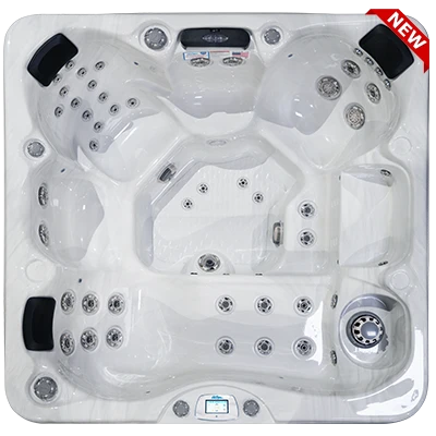 Avalon-X EC-849LX hot tubs for sale in Arcadia
