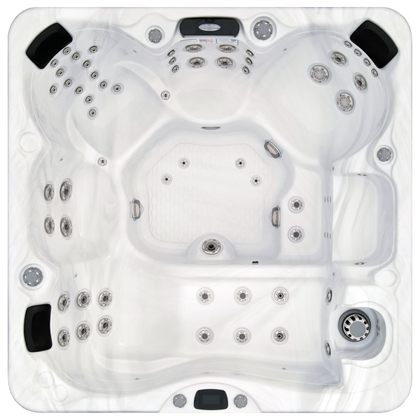 Avalon-X EC-867LX hot tubs for sale in Arcadia